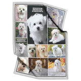 Maltese Blanket