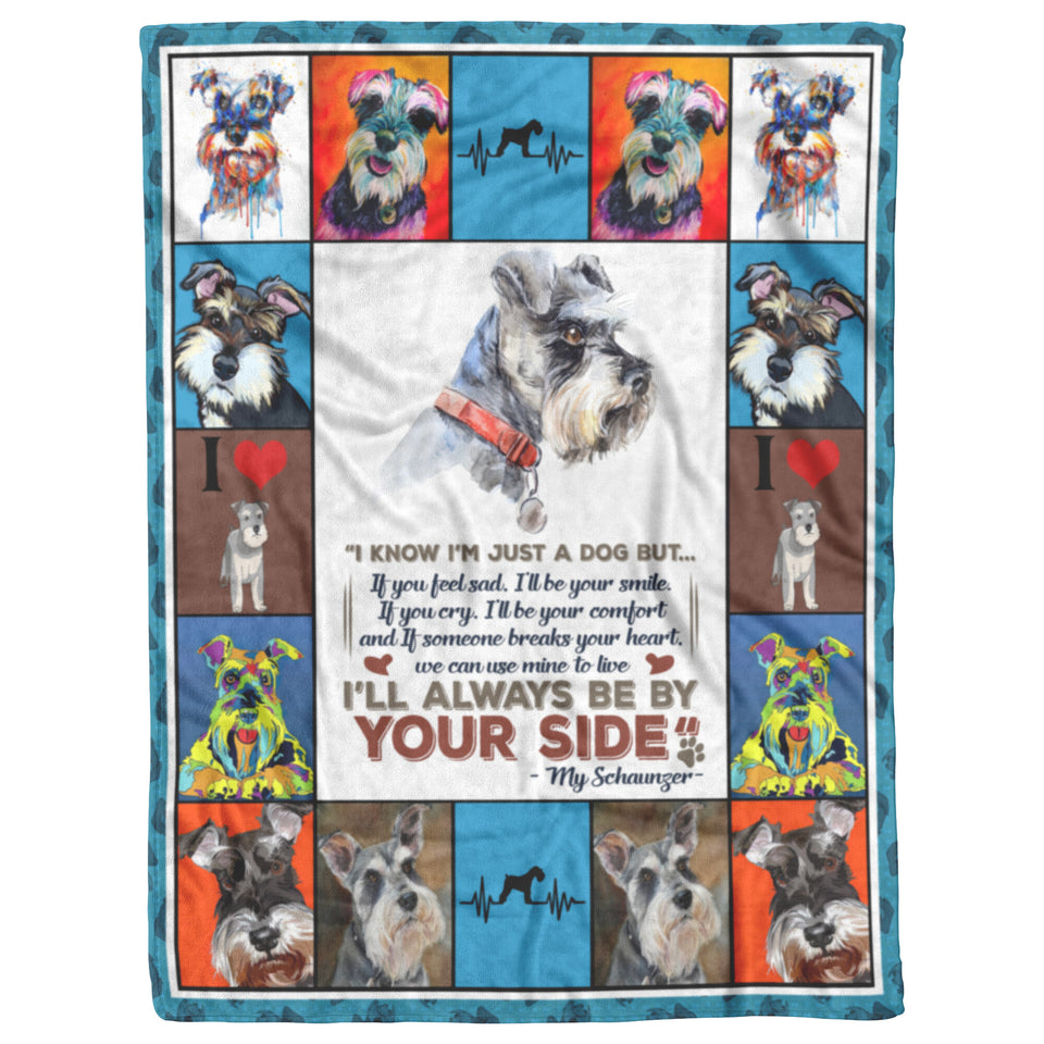 Schnauzer Dog 3 Quilt Blanket I1D2