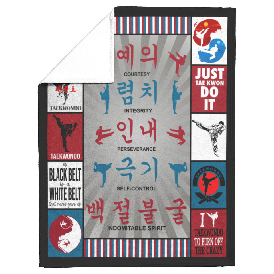 Taekwondo Quilt copy
