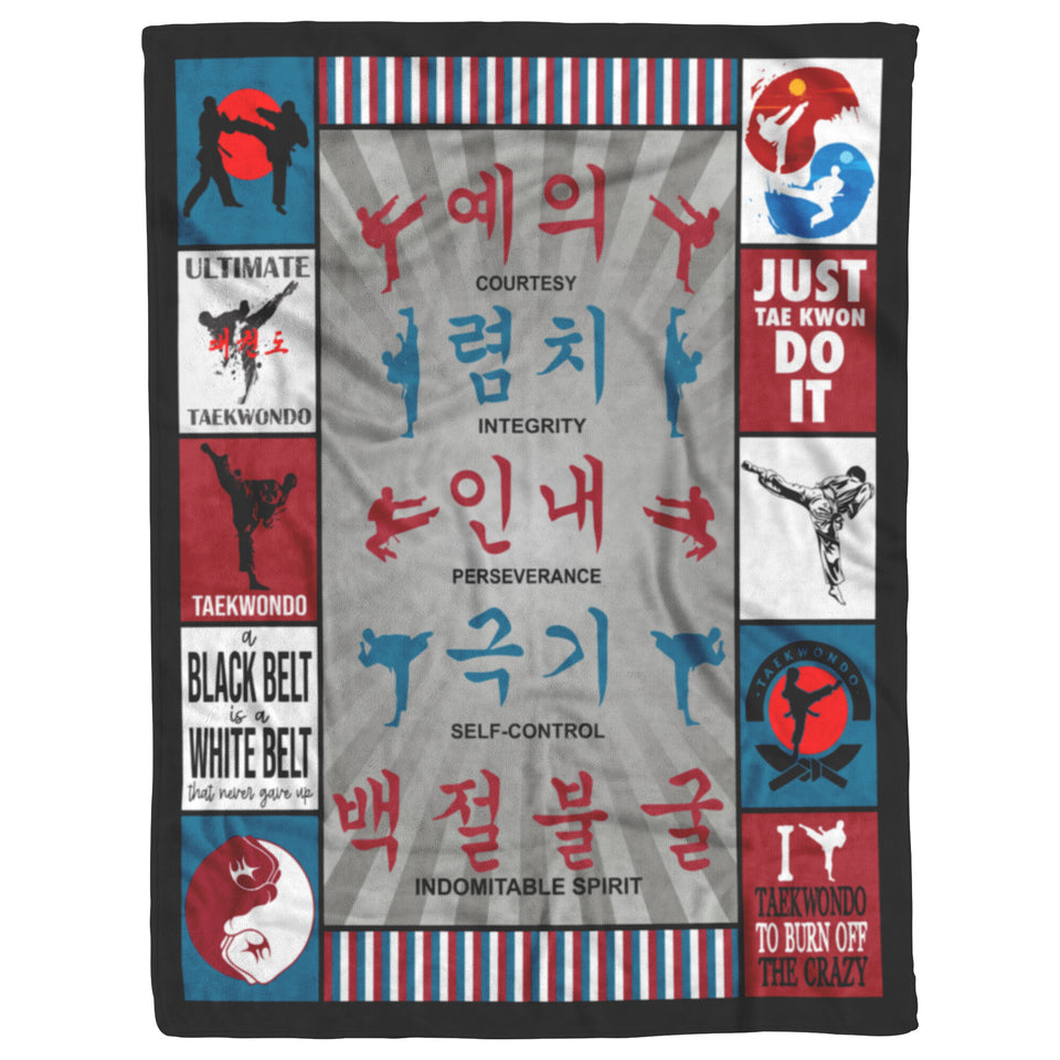 Taekwondo Quilt copy