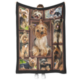 Yorkies Dog 3D Blanket copy