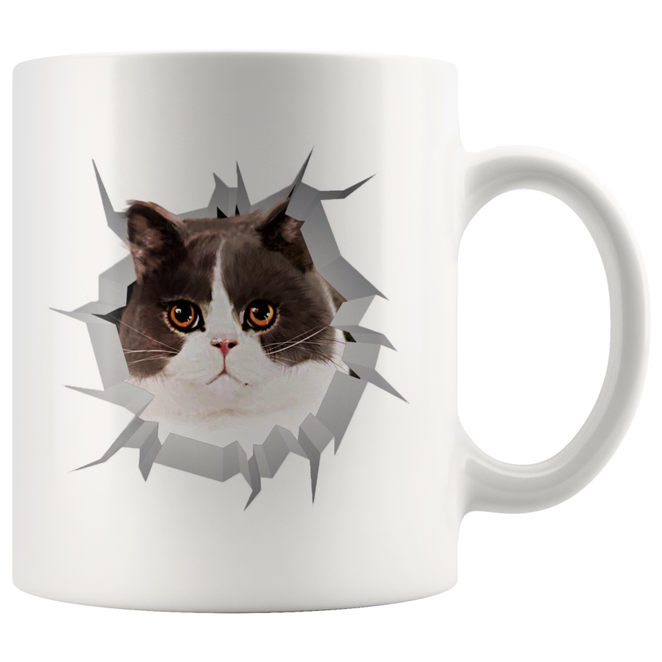 cat 43