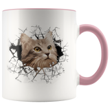 cat 108
