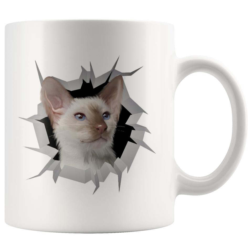 cat 27