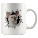 cat 27