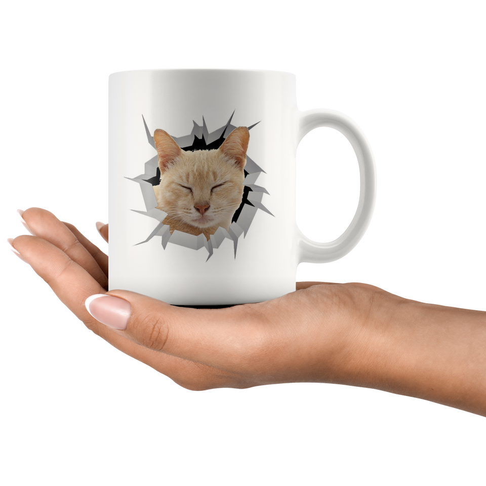 cat cat 18