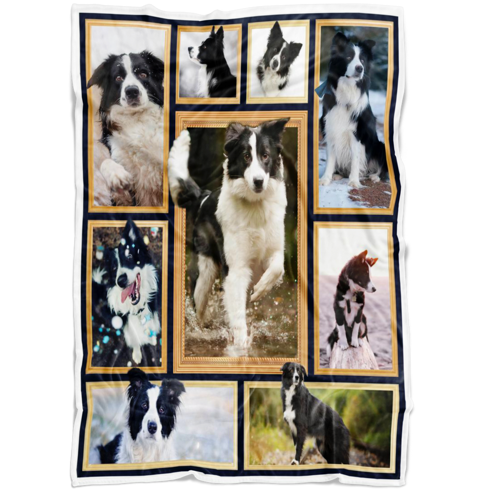 Border Collie Blanket copy