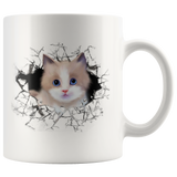 cat 114