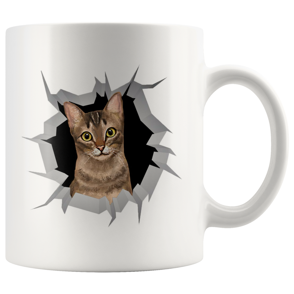 cat 31