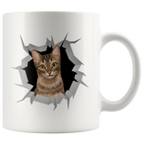 cat 31