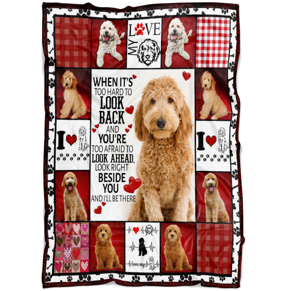 Goldendoodle Beside You