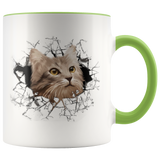 cat 108