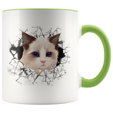 cat 107