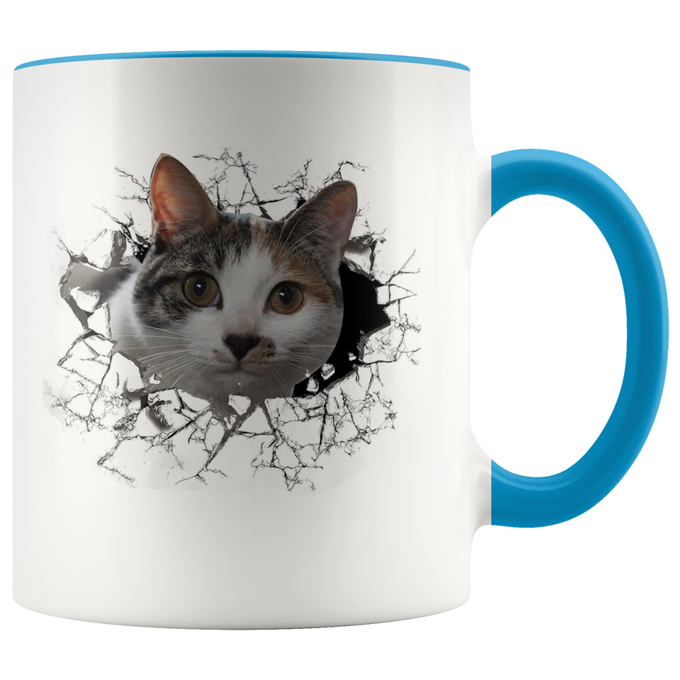 cat 102