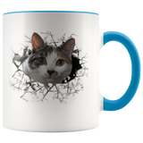 cat 102