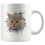 cat 7.1