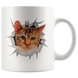 cat 8