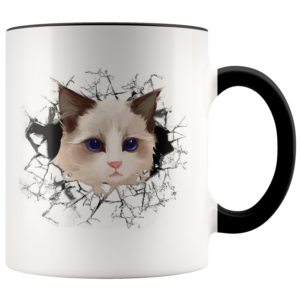 cat 107