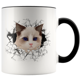 cat 107