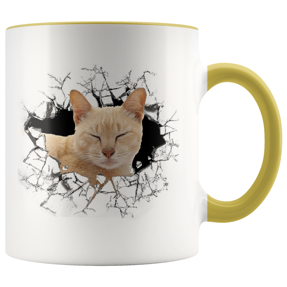 cat 111