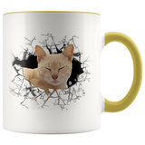 cat 111