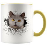 cat 104
