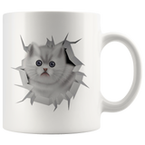 cat 14