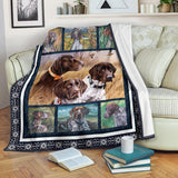 german shorthaired pointer blanket