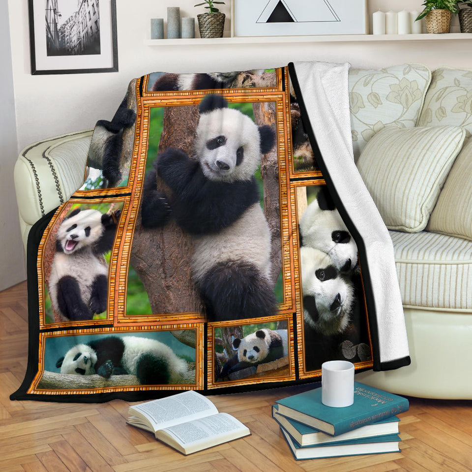 Panda 3D copy