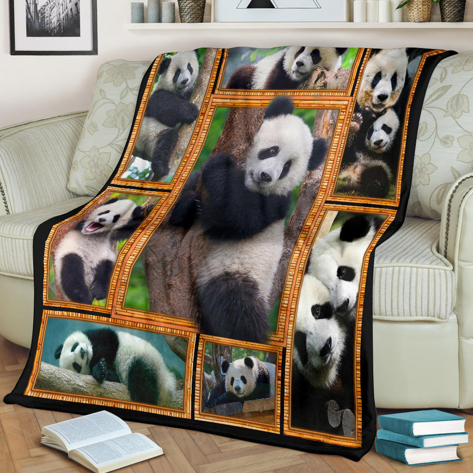 Panda 3D copy