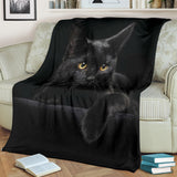 black cat blanket