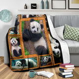 Panda 3D copy