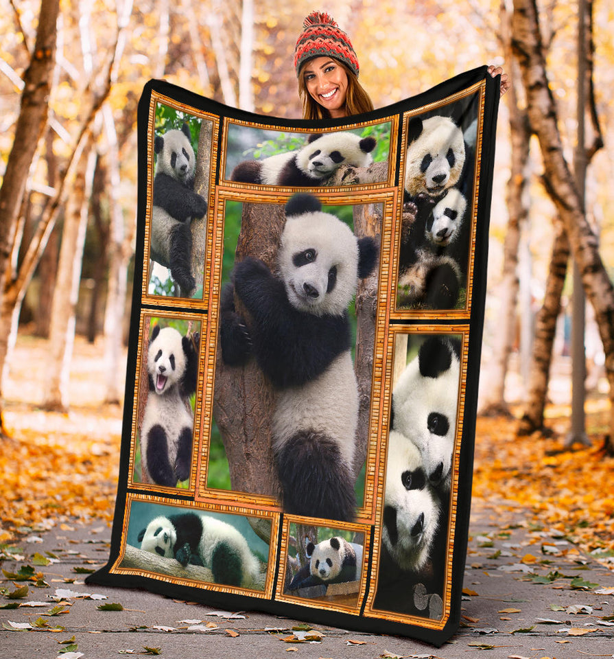 Panda 3D copy