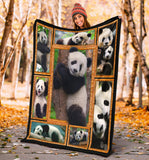 Panda 3D copy