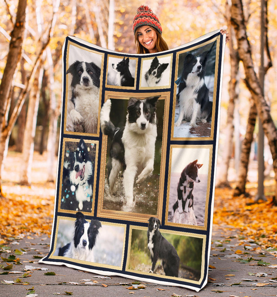 Border Collie Blanket copy