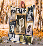 Border Collie Blanket copy