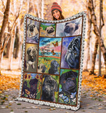Pug Blanket Dog Blanket