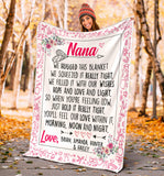nana v2 1