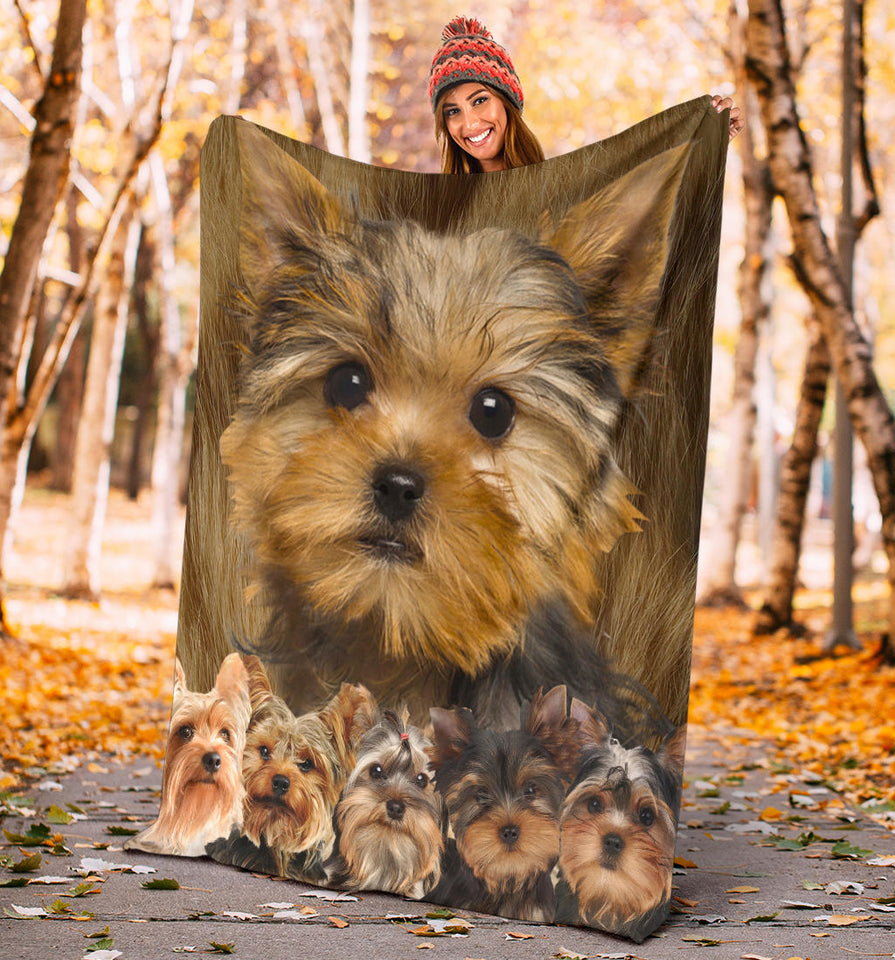 Yorkshire Terrier Quilt