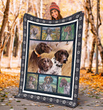german shorthaired pointer blanket
