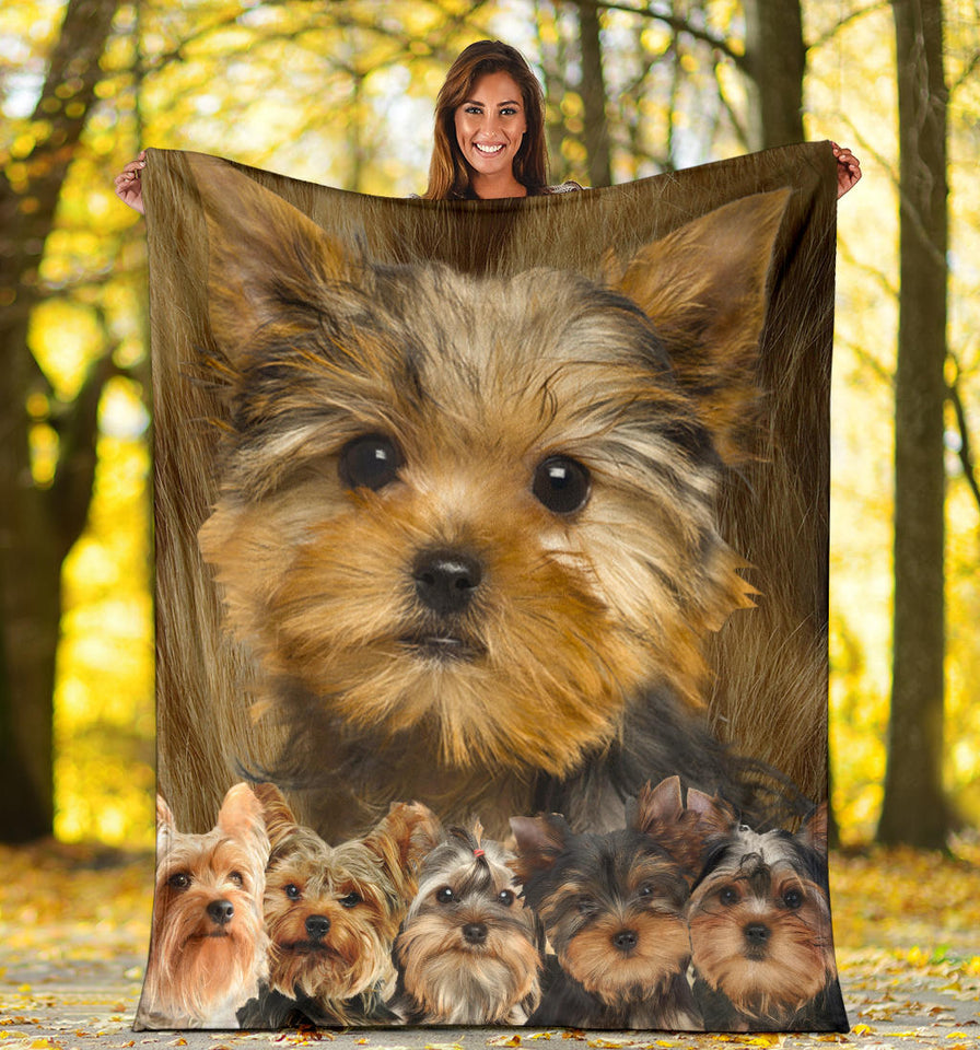 Yorkshire Terrier Quilt