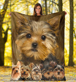 Yorkshire Terrier Quilt