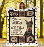 Doberman Pinscher Dog