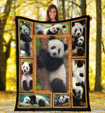 Panda 3D copy