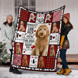 Goldendoodle Beside You