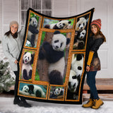 Panda 3D copy