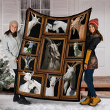 Goat Blanket copy