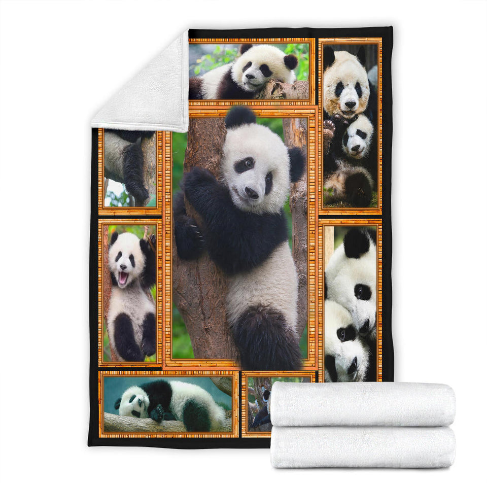 Panda 3D copy