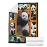 Panda 3D copy