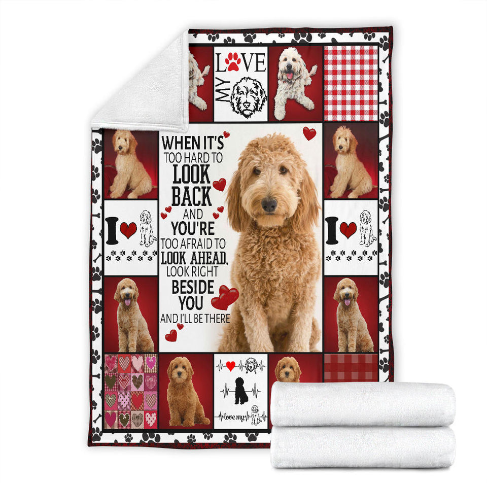 Goldendoodle Beside You
